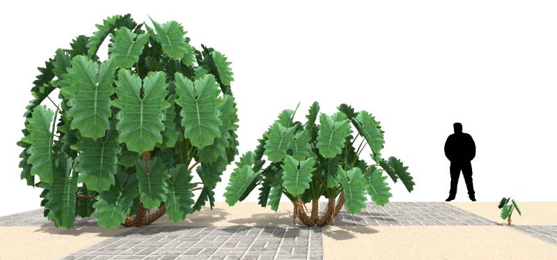 Imagen renderizada en VisualPLAN.