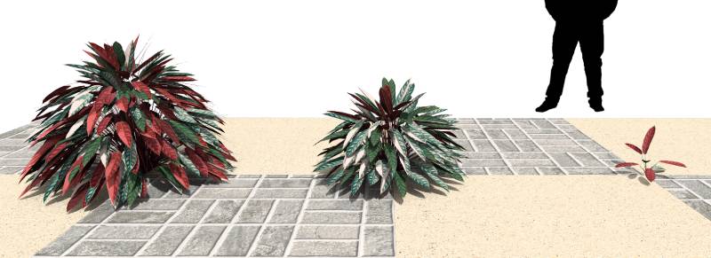 Imagen renderizada en VisualPLAN.