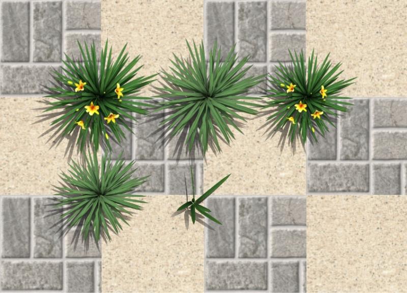 Imagen renderizada en VisualPLAN.