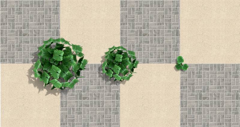 Imagen renderizada en VisualPLAN.