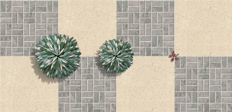Imagen renderizada en VisualPLAN.