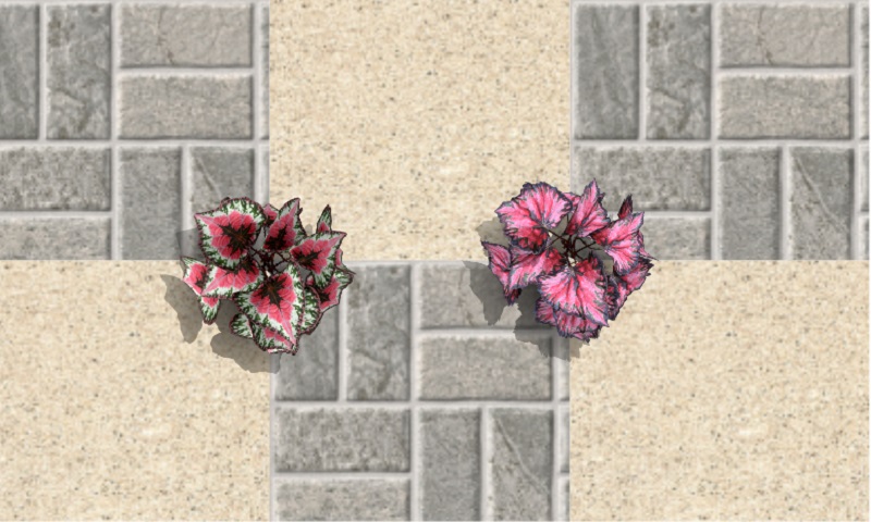 Imagen renderizada en VisualPLAN.