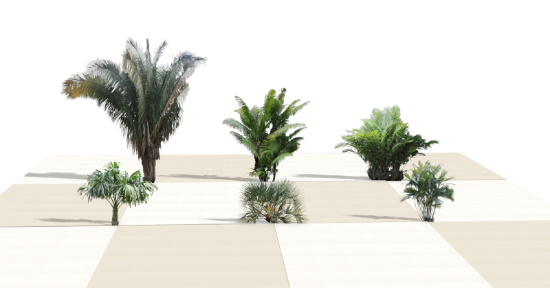 Planta superior de proyecto con nuevas Palmeras en el software VisualPLAN