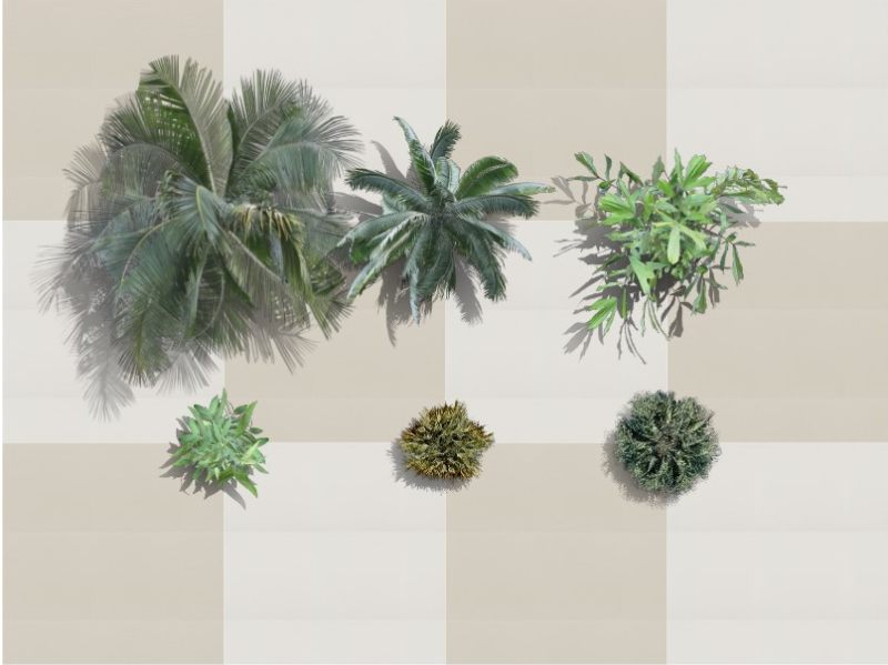 Plantas superior de las Palmeras nuevas en el software VisualPLAN