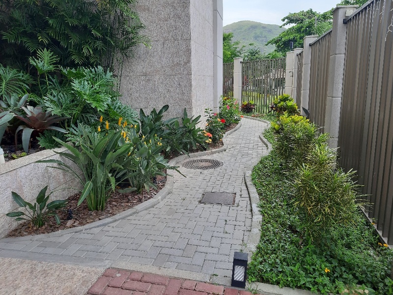 Proyecto del Condominio Después