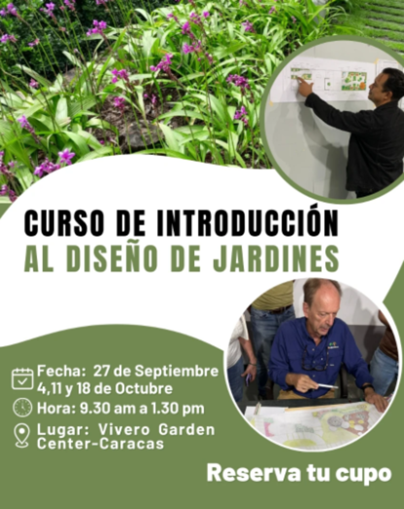 Transforme sus espacios verdes: Curso de introducción al diseño de jardines y paisajes