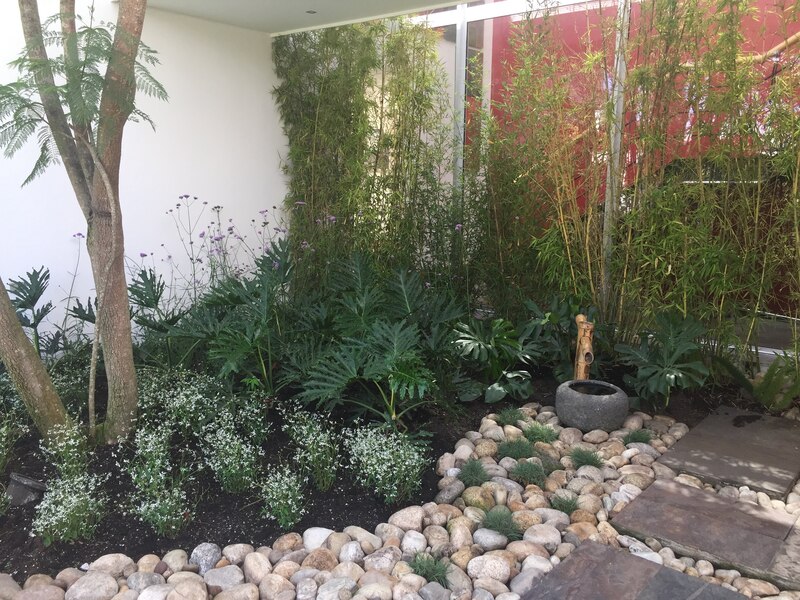  Proyecto de diseño paisajístico de Claudia Monsalve