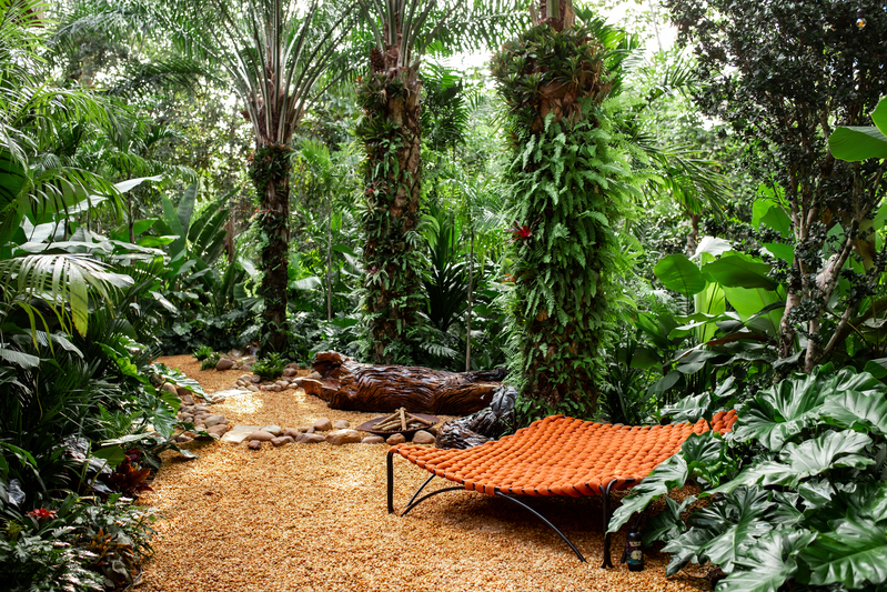  Proyecto de paisajismo de Viva a Vida Environmental Services