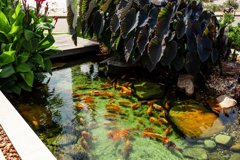  Proyecto del lago de Viva a Vida Environmental Services