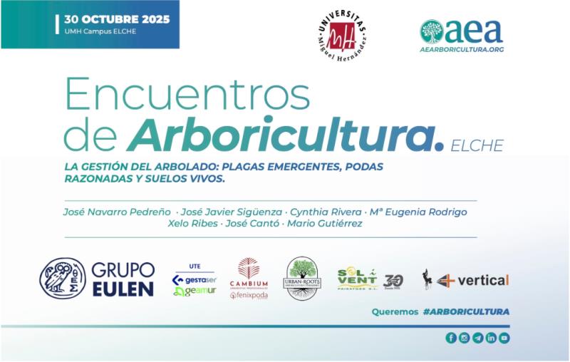 El corazón de la ciudad: la arboricultura en el punto de mira en Elche