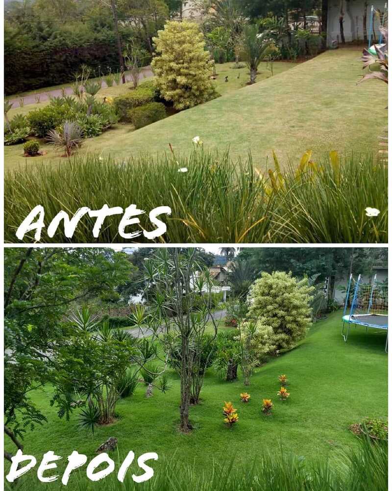  Paisajismo realizado por Guilherme Silva Vieira