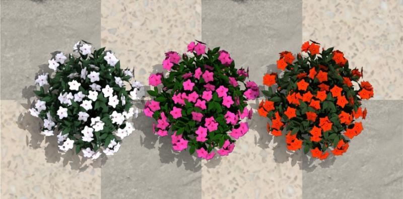 IMHA2, IMHA6 e IMHA8