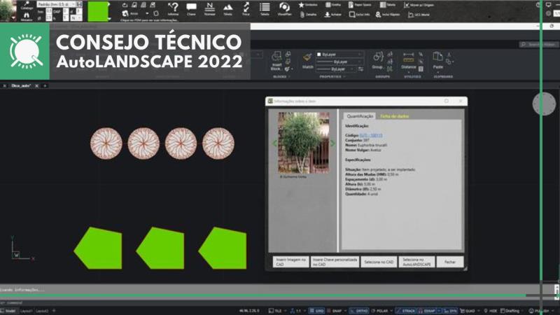 AutoLANDSCAPE 2022: Comprenda la función de las capas PA-parterres y PA-guías