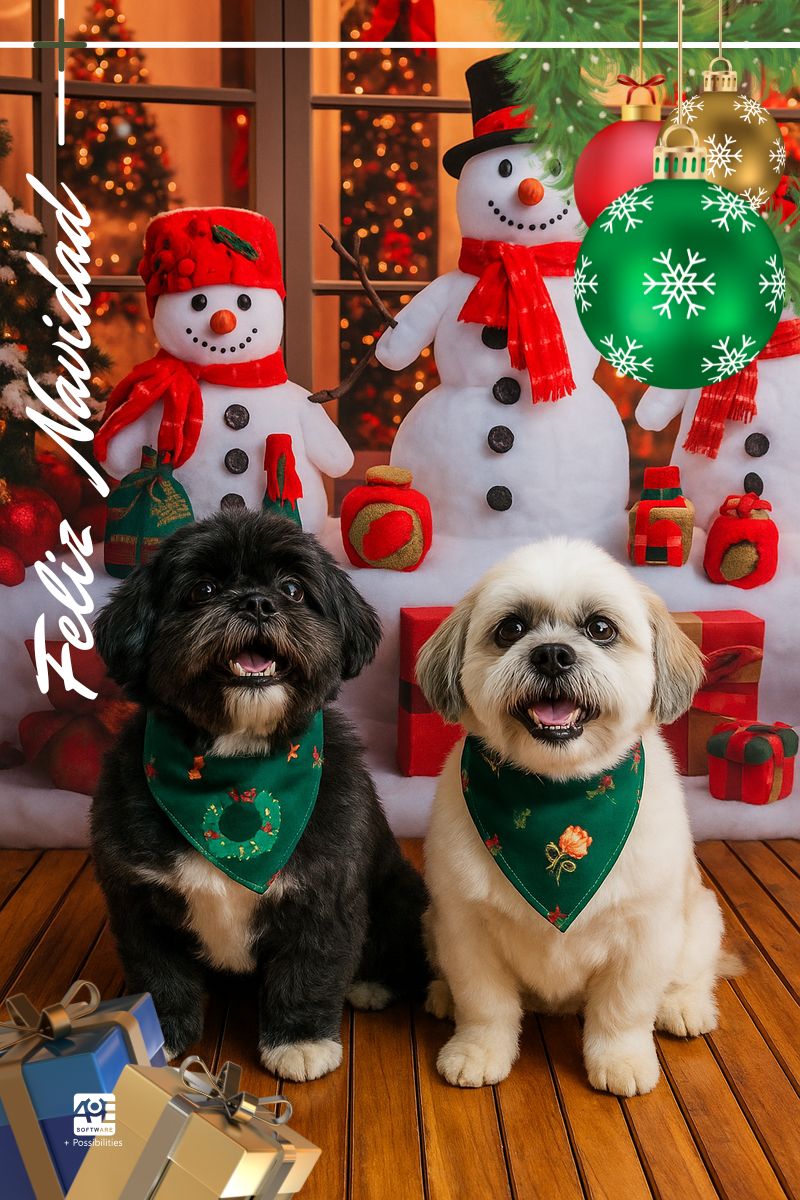 Esta Navidad celebramos la confianza que ilumina nuestro camino.