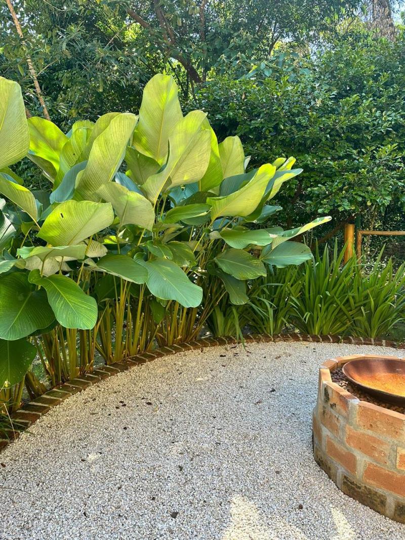 Imagen cedida por el paisajista Carlos Renzo