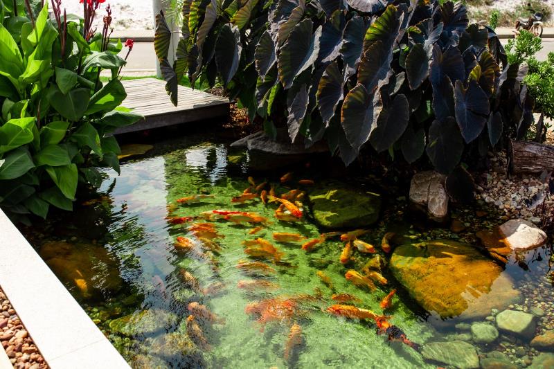 Paisajes de Luxo: Donde Design, Naturaleza y Exclusividad se encuentran