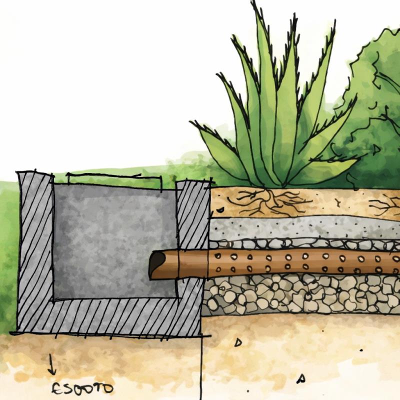 Jardines de lluvia: técnica, paisajismo y sostenibilidad integrados