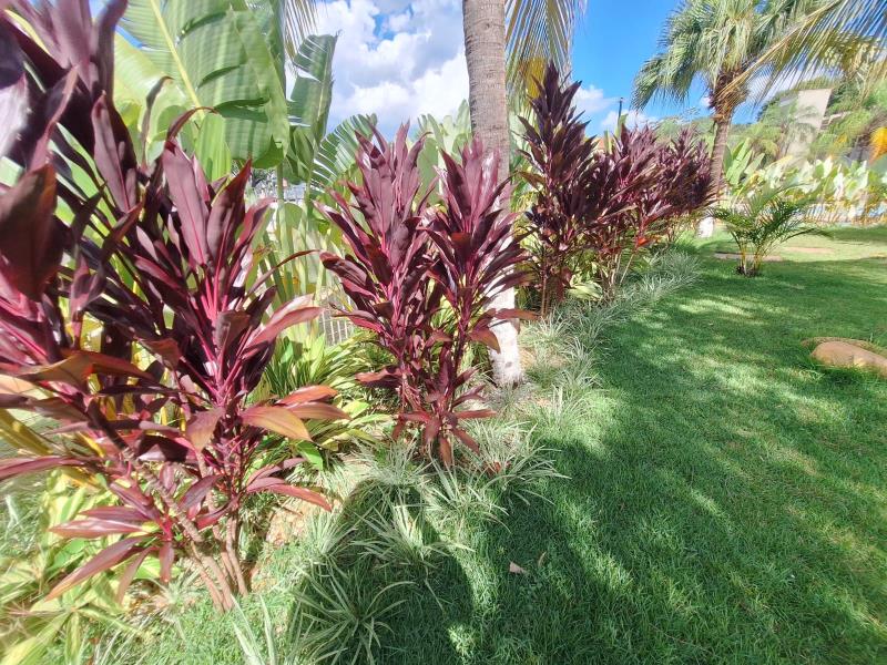 Proyecto diseñado por la arquitecta paisajista Luana Oliveira. Imágenes proporcionadas por la fotógrafa y el diseñador del proyecto.