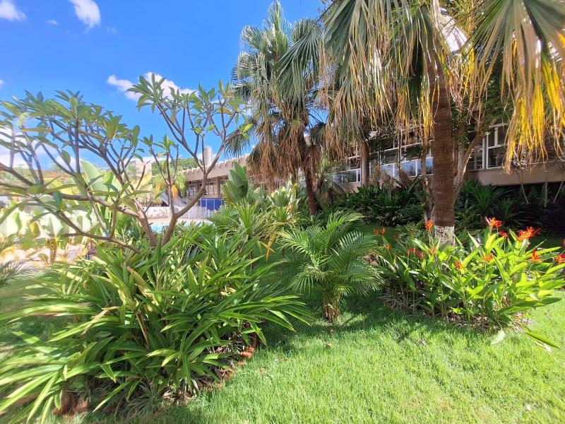 Proyecto diseñado por la arquitecta paisajista Luana Oliveira. Imágenes proporcionadas por la fotógrafa y el diseñador del proyecto.