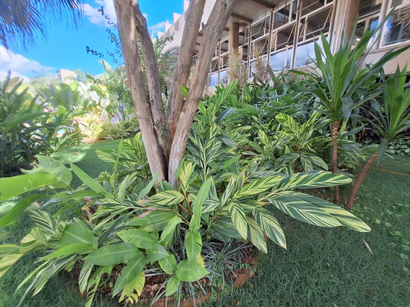 Proyecto diseñado por la arquitecta paisajista Luana Oliveira. Imágenes proporcionadas por la fotógrafa y el diseñador del proyecto.