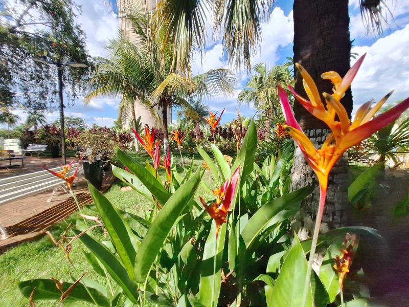 Proyecto diseñado por la arquitecta paisajista Luana Oliveira. Imágenes proporcionadas por la fotógrafa y el diseñador del proyecto.