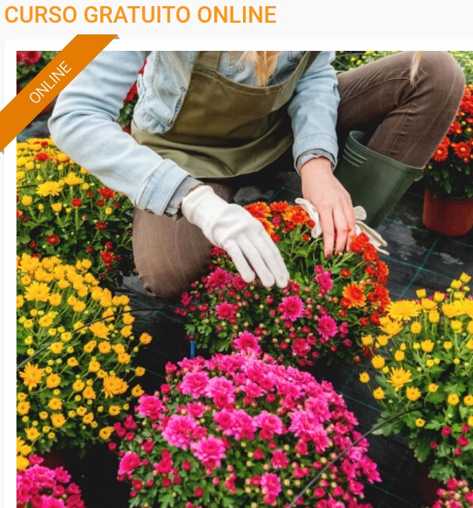 Curso gratuito de jardinería ofrece capacitación técnica en el sector medioambiental