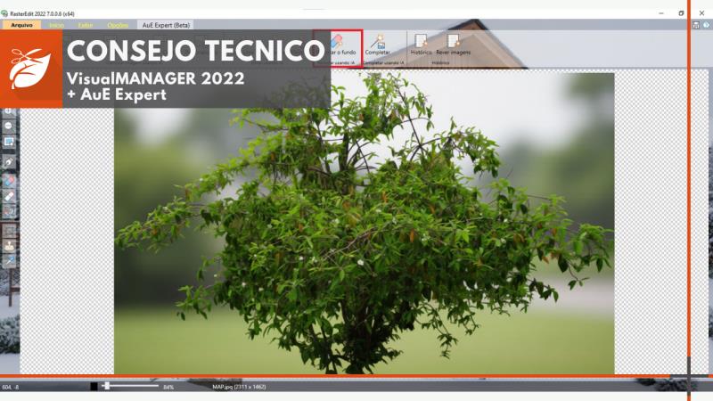 VisualManager + AuE Expert: Cómo mejorar los mapas mediante VisualManager con IA