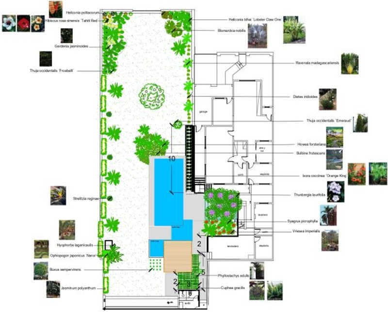 Proyecto en AutoLANDSCAPE. Imagen cedida por la autora.