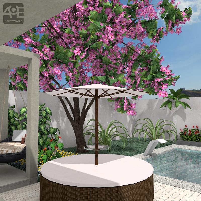 Nueva colección de plantas en 3D: más realismo, variedad y calidad para tus proyectos