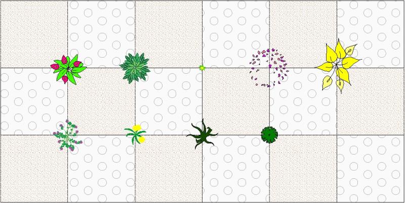 Bloques DWG de las nuevas especies disponibles en AutoLANDSCAPE.