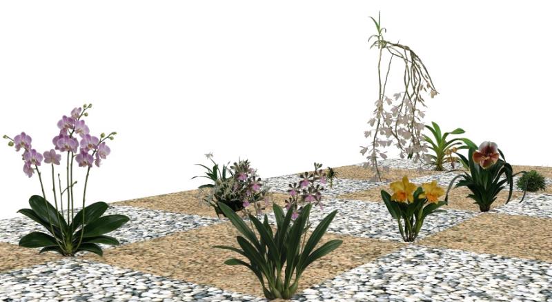 Elevaciones en VisualPLAN.