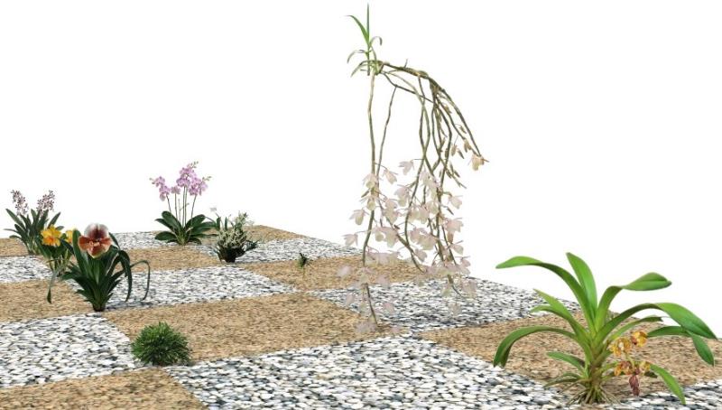 Elevaciones en VisualPLAN.