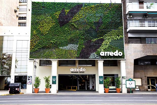 En un local ubicado sobre Libertador, todo un mural de plantas. Foto: Living / Daniel Karp