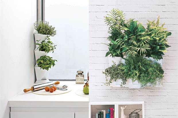 Opciones ideales para tener plantas aromáticas, hortícolas u ornamentales en casa. Foto: Living / Arredo