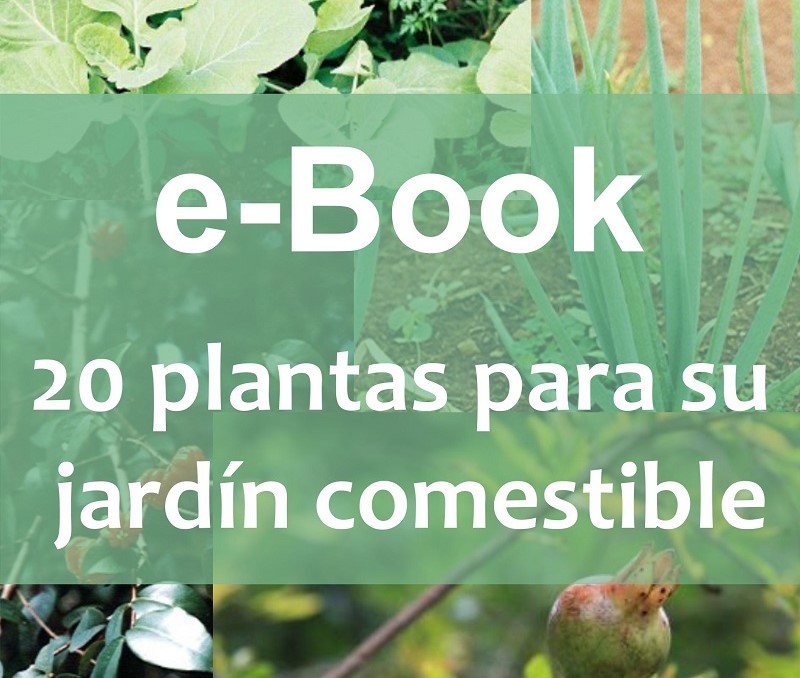 Haga clic aquí para descargar el e-book "20 Plantas comestibles para su jardín"