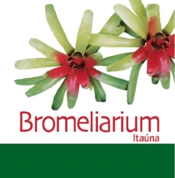 Los desafíos en el cultivo de bromelias: entrevista con Paulo Dantas - Bromeliarium Itaúna