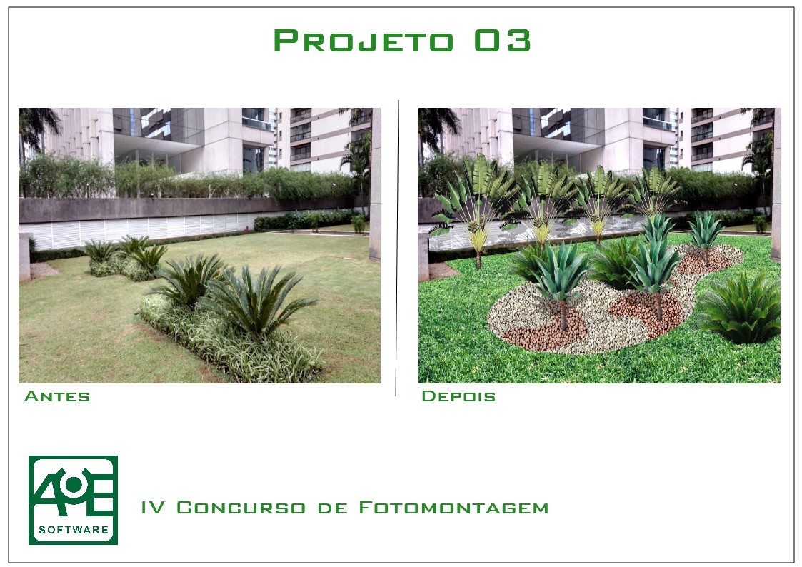 Proyecto 03