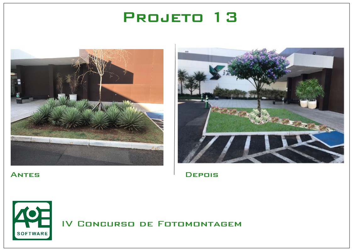 Proyecto 13