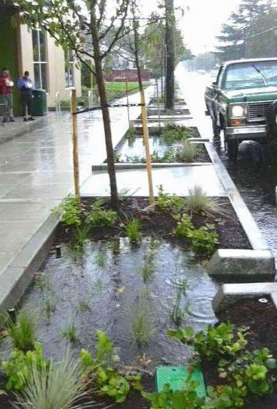 Jardines de lluvia