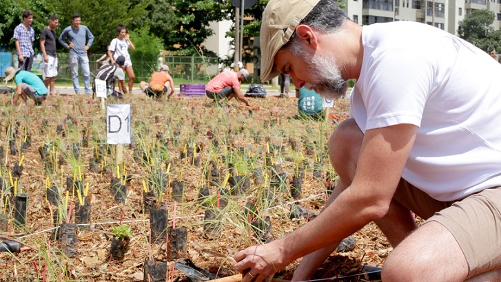 Grupo de trabajo de plantación para la primera rotonda totalmente nativa en Brasilia-DF, 2020. (Foto: Cleber Martins)