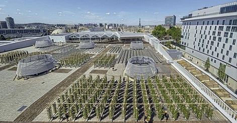 Gran huerto urbano inaugurado en una terraza en París, Francia
