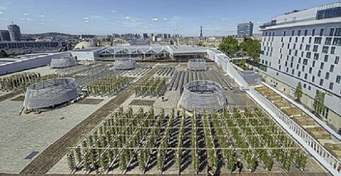 Gran jardín en la azotea en París