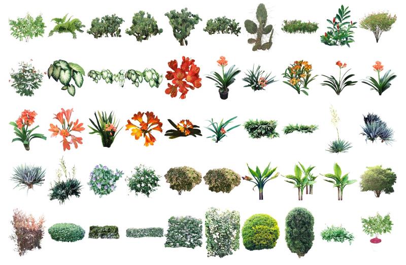 Colección de mapas de plantas para descargar - Diciembre de 2020