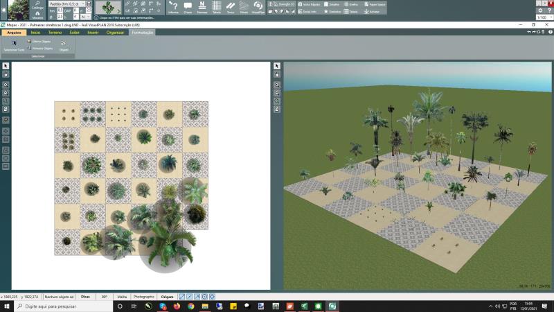 Escena con mapas de palmeras en VisualPLAN 1 de 2