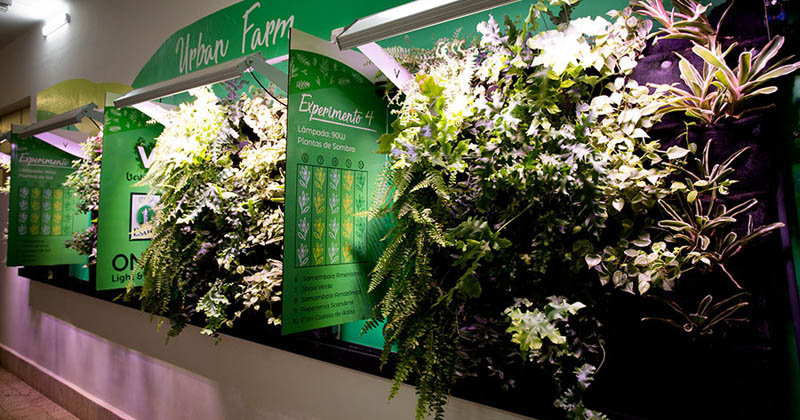 El laboratorio de la Universidad de Sao Paulo estudia el cultivo de jardines verticales