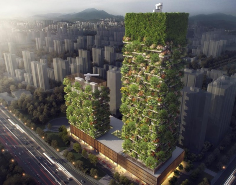 China, ganará floresta vertical