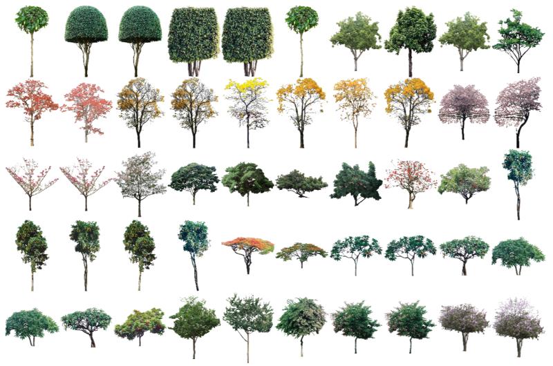 Mapas de árboles simétricos para descargar - Junio de 2021