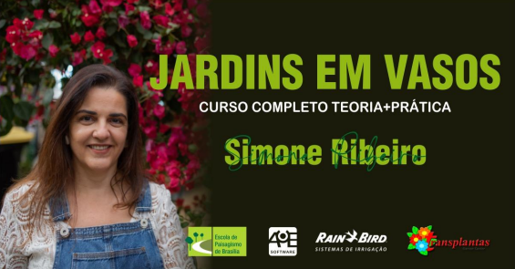 Curso de Jardín en Macetas con Simone Ribeiro
